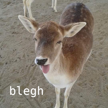 blegh