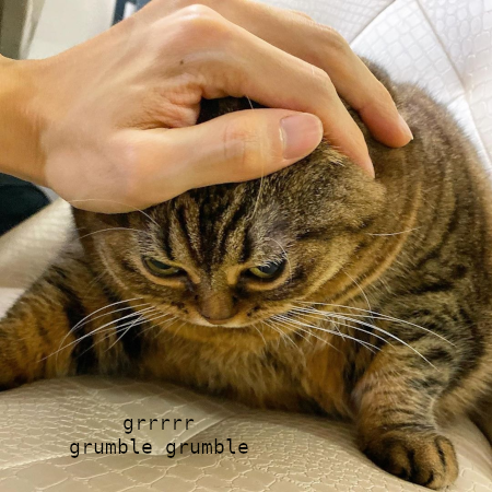 grumble