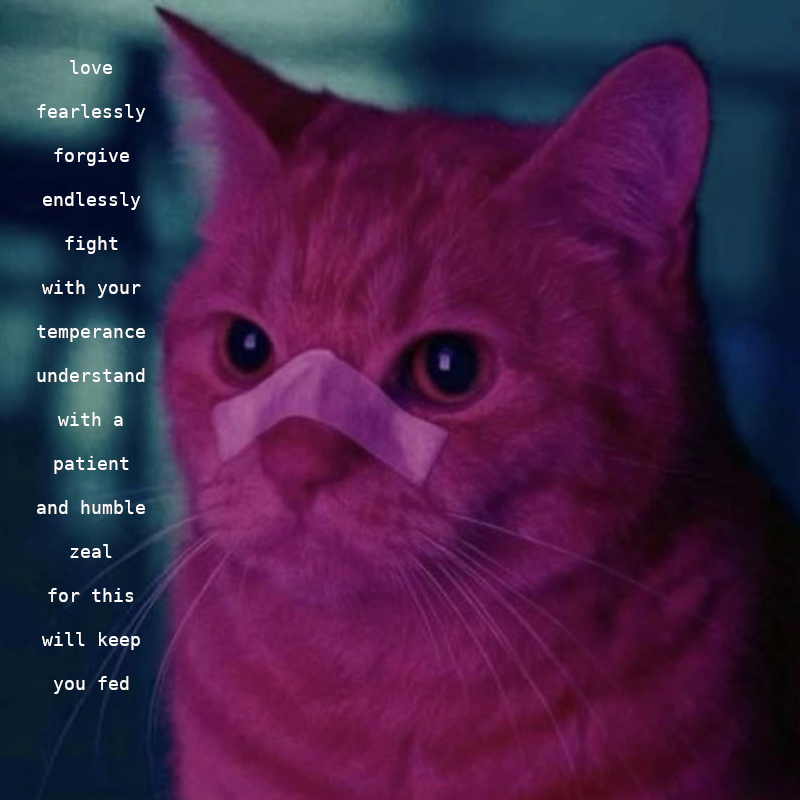 love fearlessly